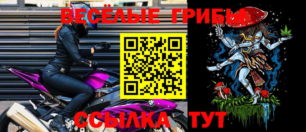 Псилоцибиновые грибы Magic Shrooms Каменка